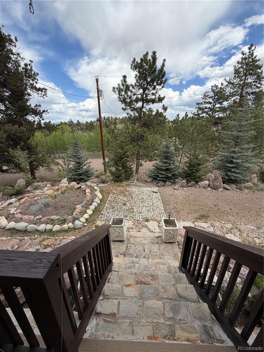 MLS Image #3 for 837  concho trail,hartsel, Colorado