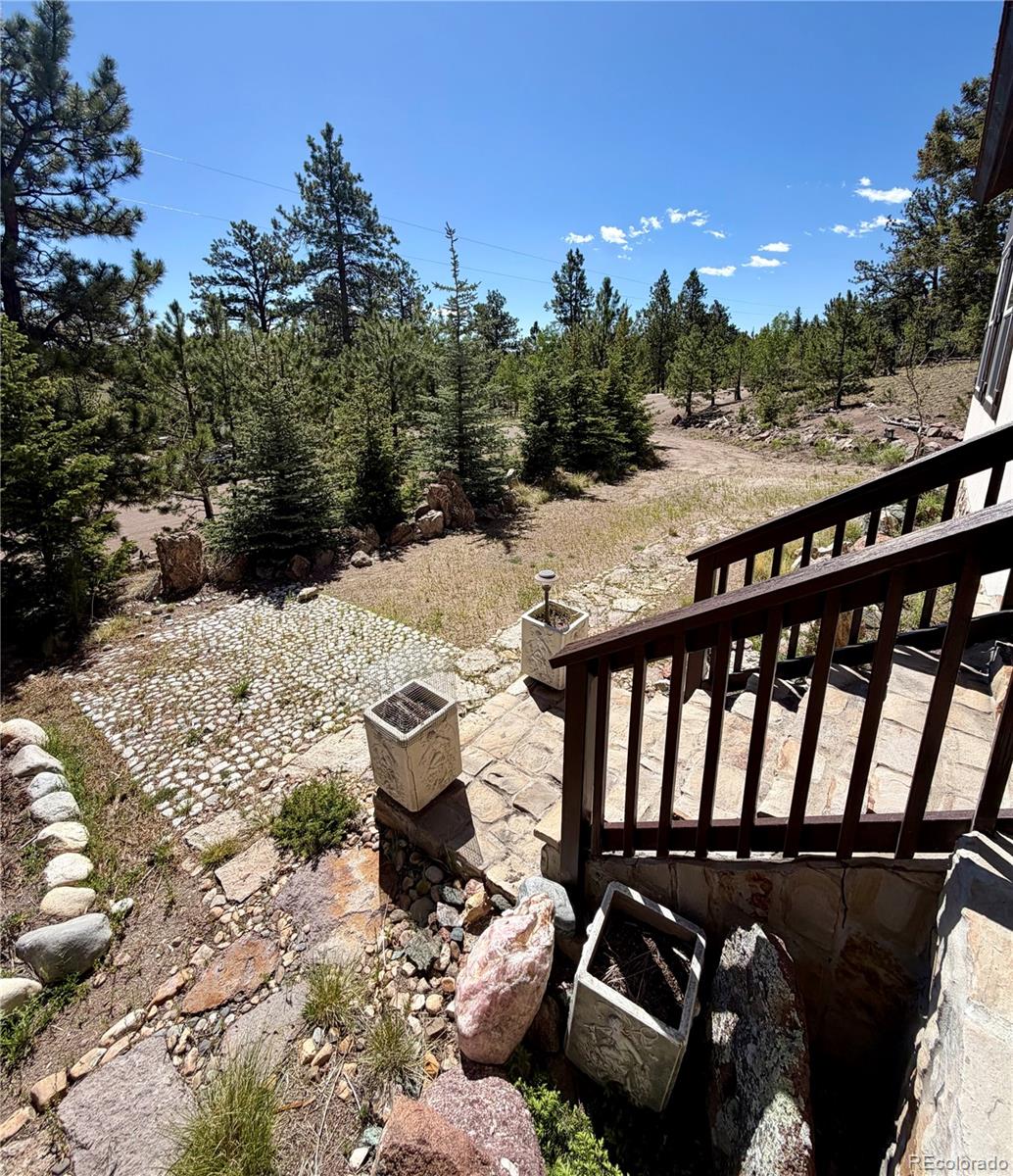 MLS Image #4 for 837  concho trail,hartsel, Colorado