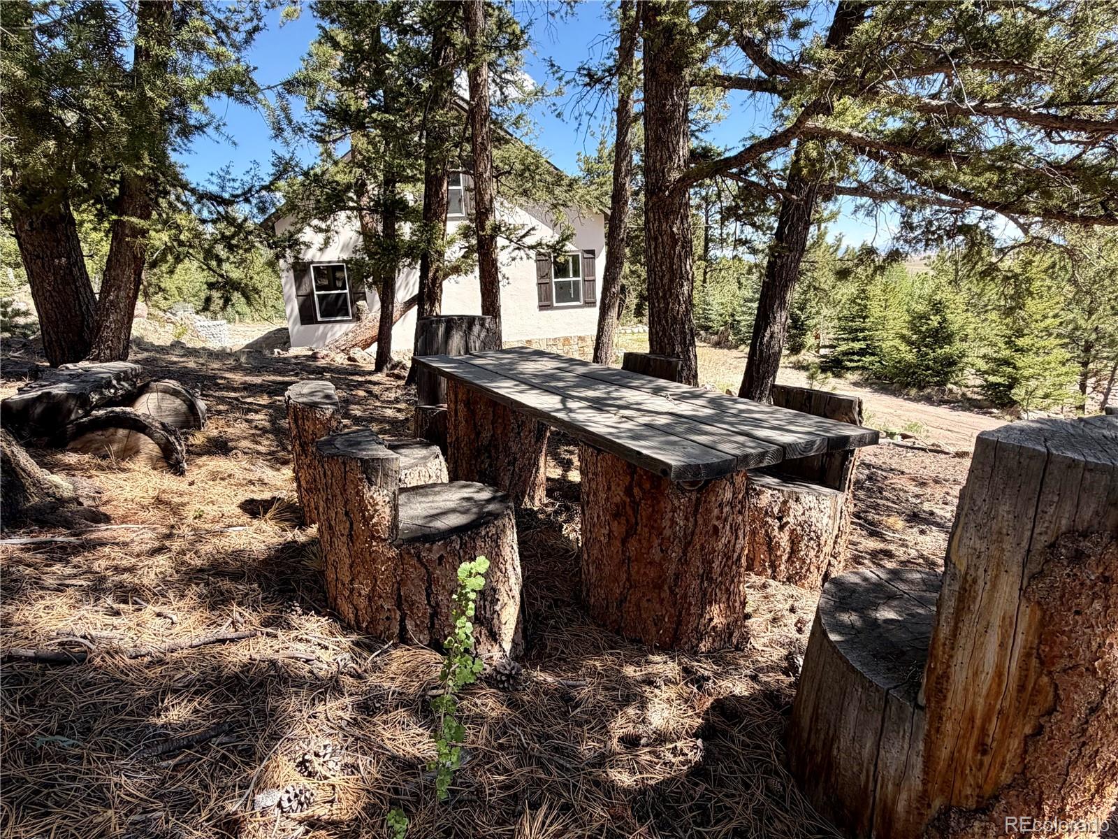 MLS Image #44 for 837  concho trail,hartsel, Colorado