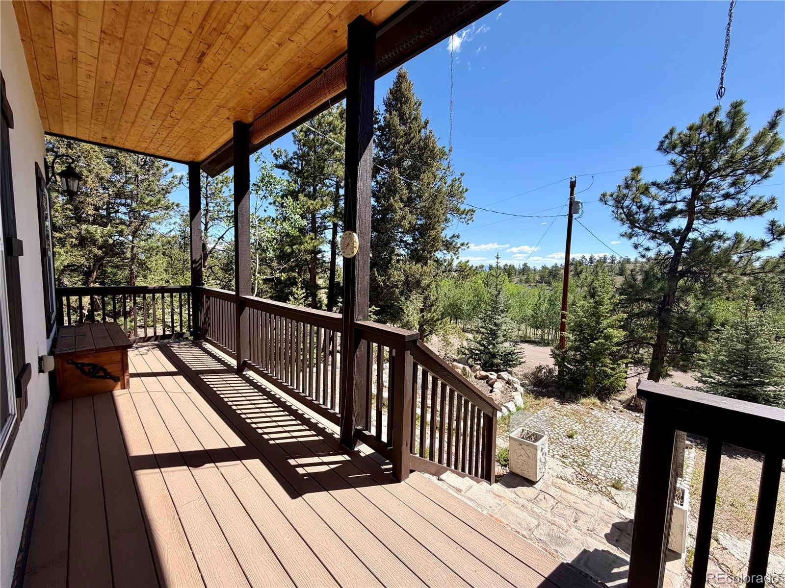 MLS Image #5 for 837  concho trail,hartsel, Colorado