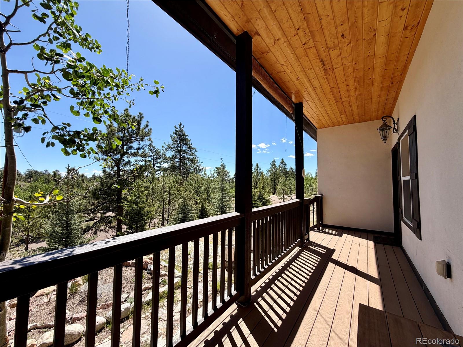 MLS Image #6 for 837  concho trail,hartsel, Colorado