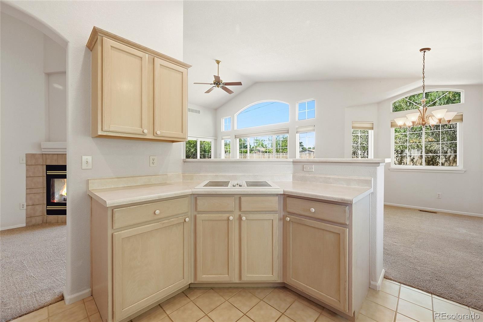 MLS Image #13 for 3921  miller street,wheat ridge, Colorado