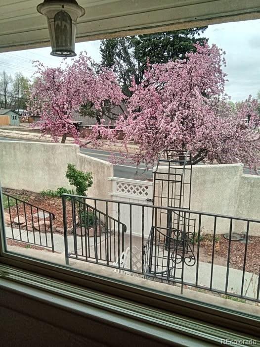 MLS Image #5 for 1802 e uintah street,colorado springs, Colorado