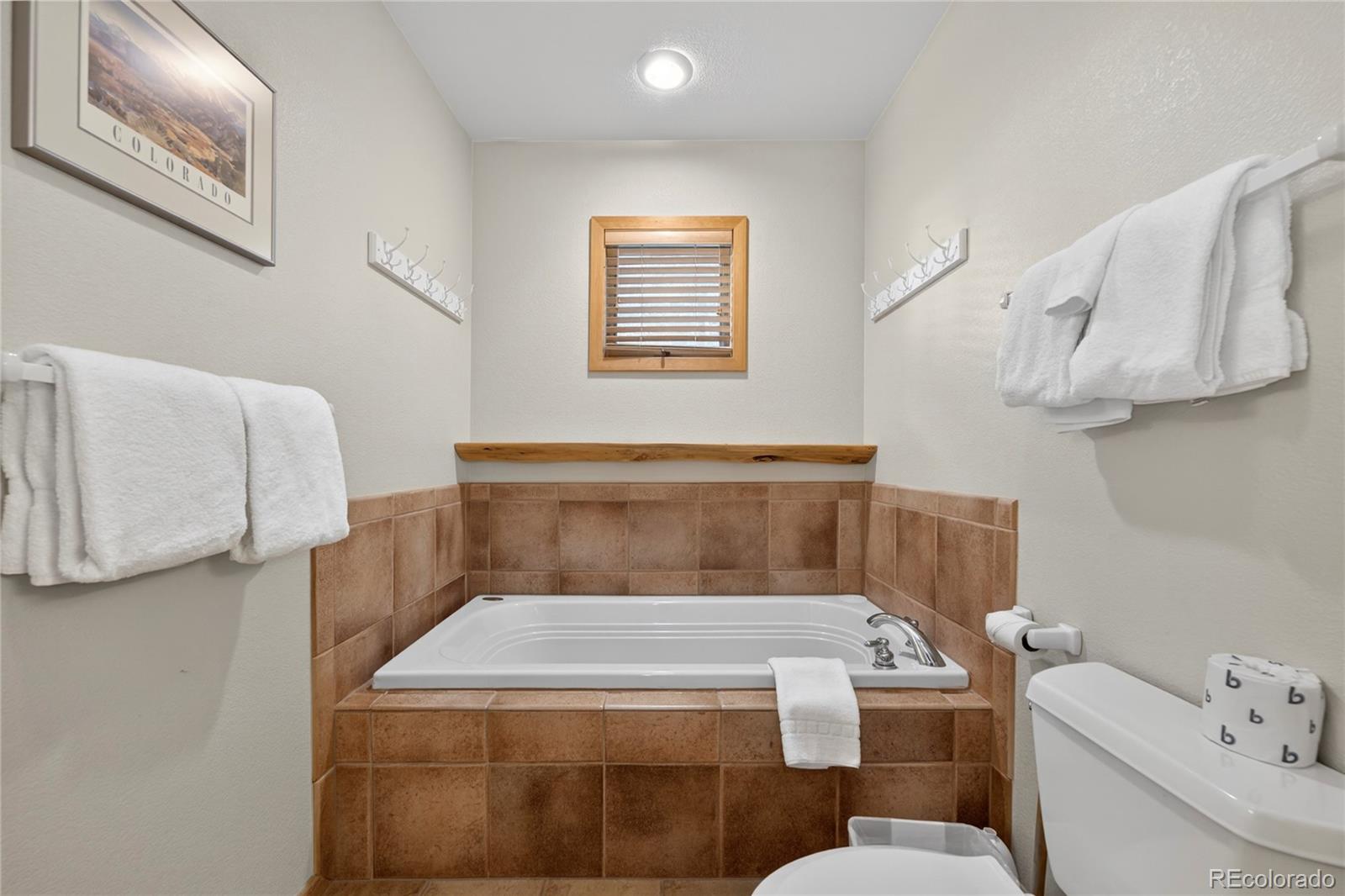MLS Image #15 for 96  cougar avenue,fraser, Colorado