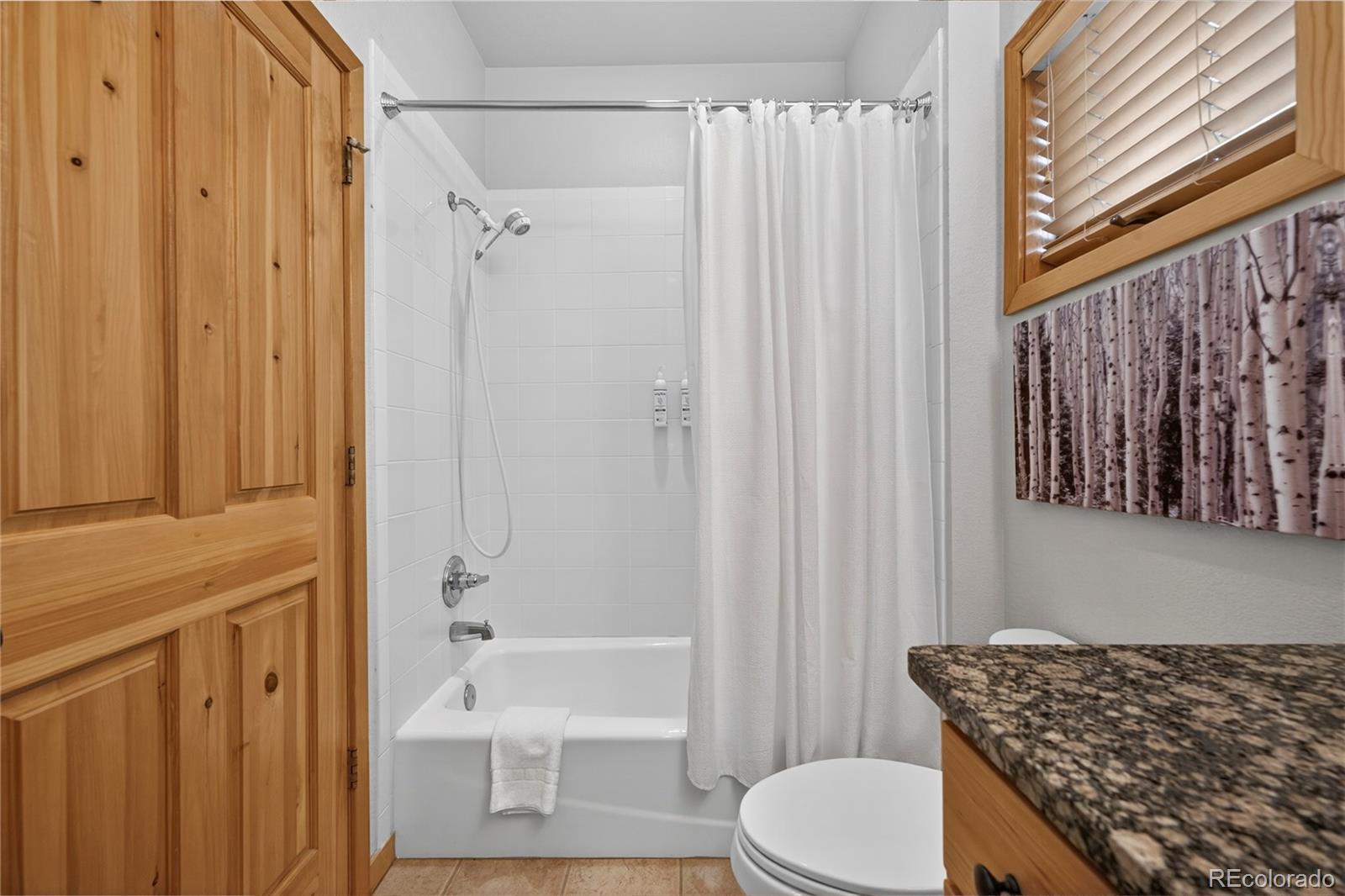 MLS Image #32 for 96  cougar avenue,fraser, Colorado