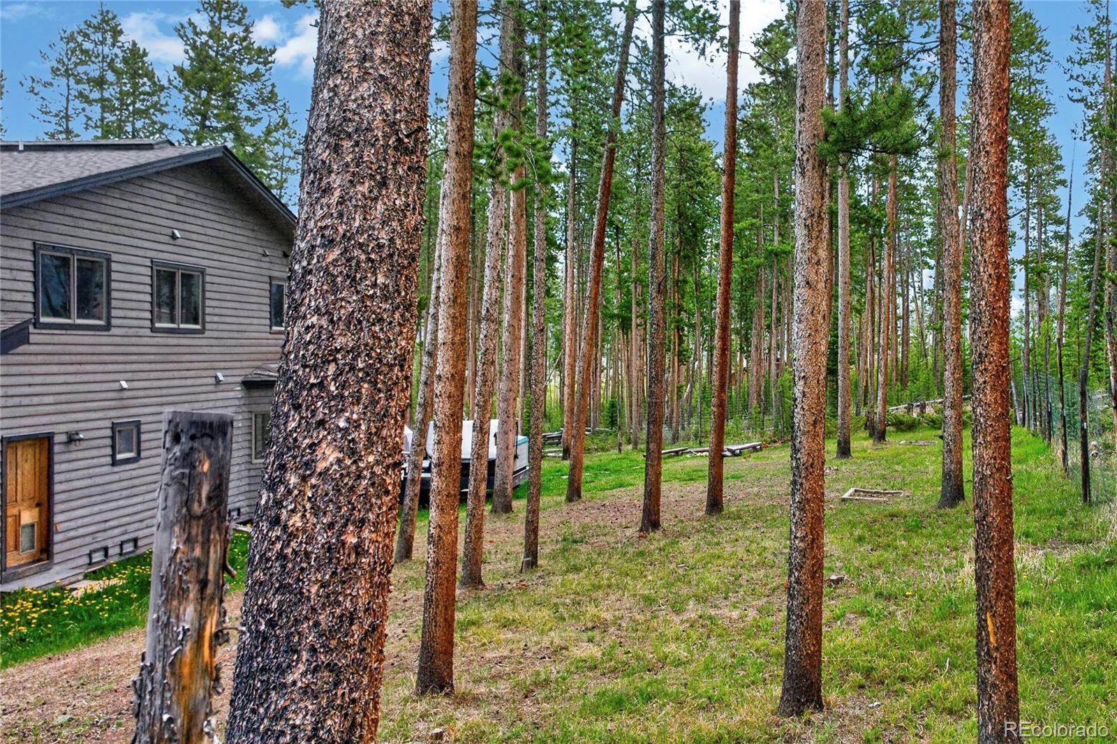 MLS Image #38 for 96  cougar avenue,fraser, Colorado