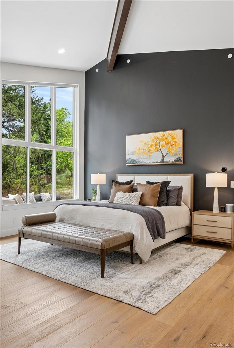 MLS Image #21 for 22  borealis way,castle rock, Colorado