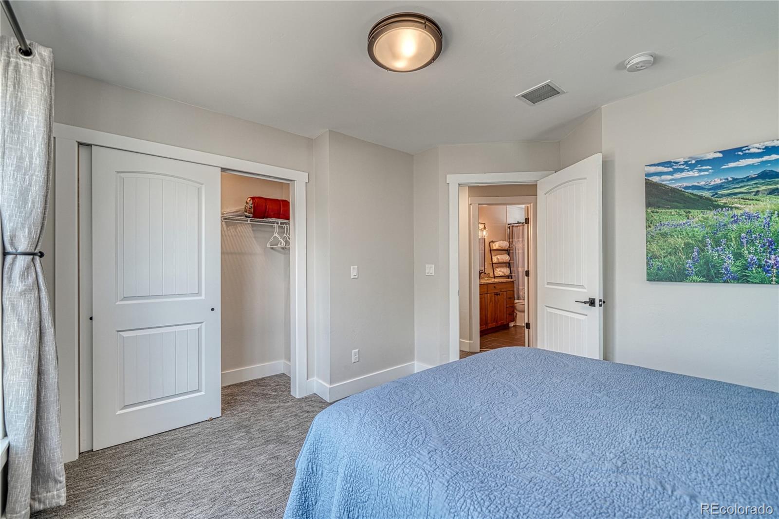 MLS Image #20 for 1218  silver vault street,leadville, Colorado