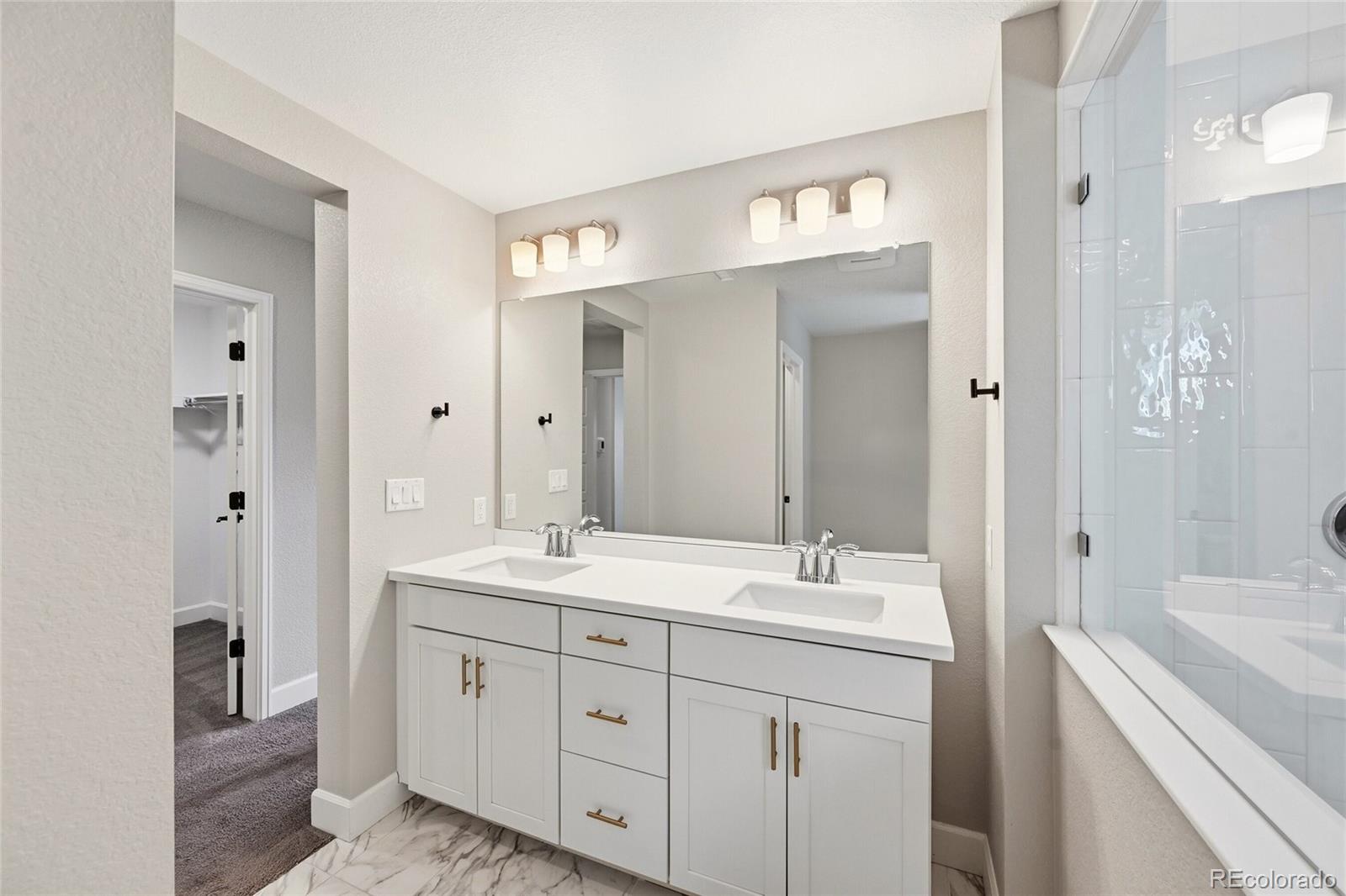 MLS Image #14 for 17366  hop clover avenue,parker, Colorado