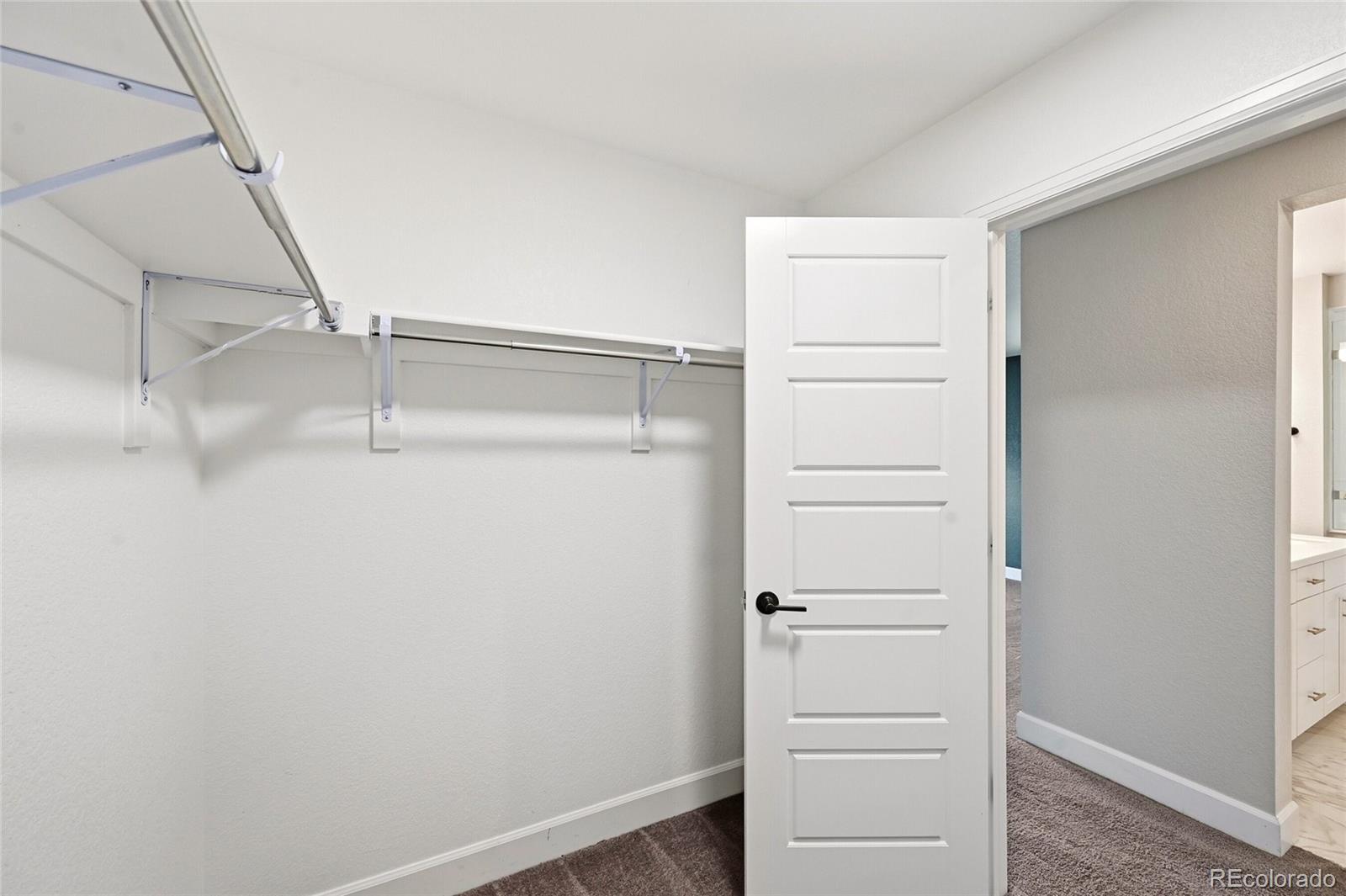 MLS Image #16 for 17366  hop clover avenue,parker, Colorado