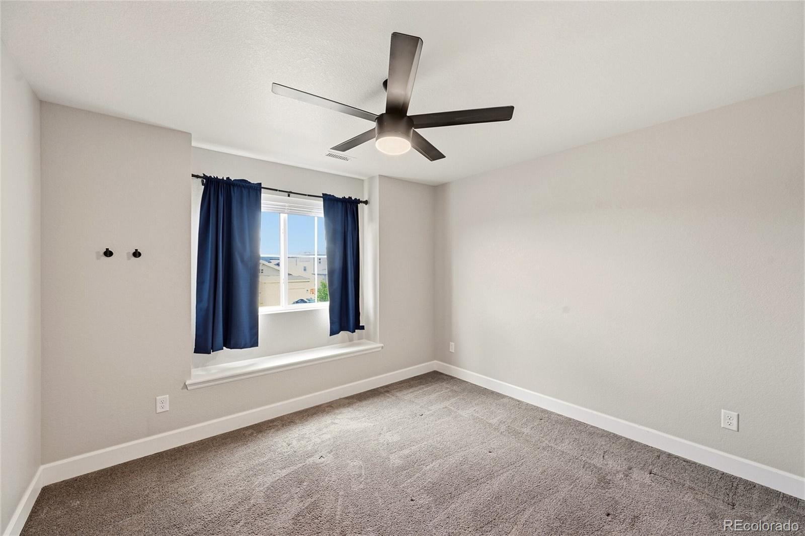 MLS Image #18 for 17366  hop clover avenue,parker, Colorado