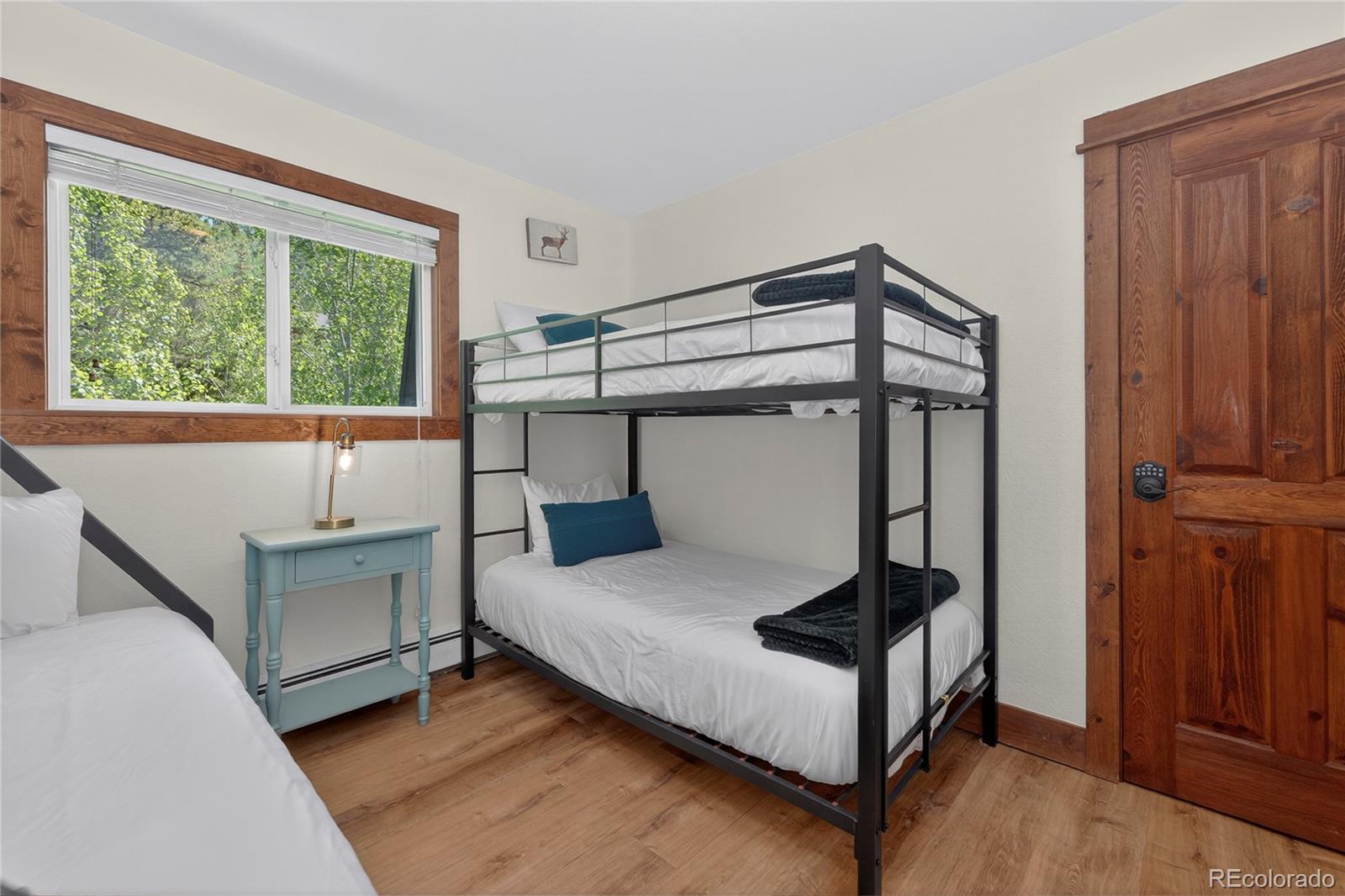 MLS Image #13 for 518  hi country drive,winter park, Colorado