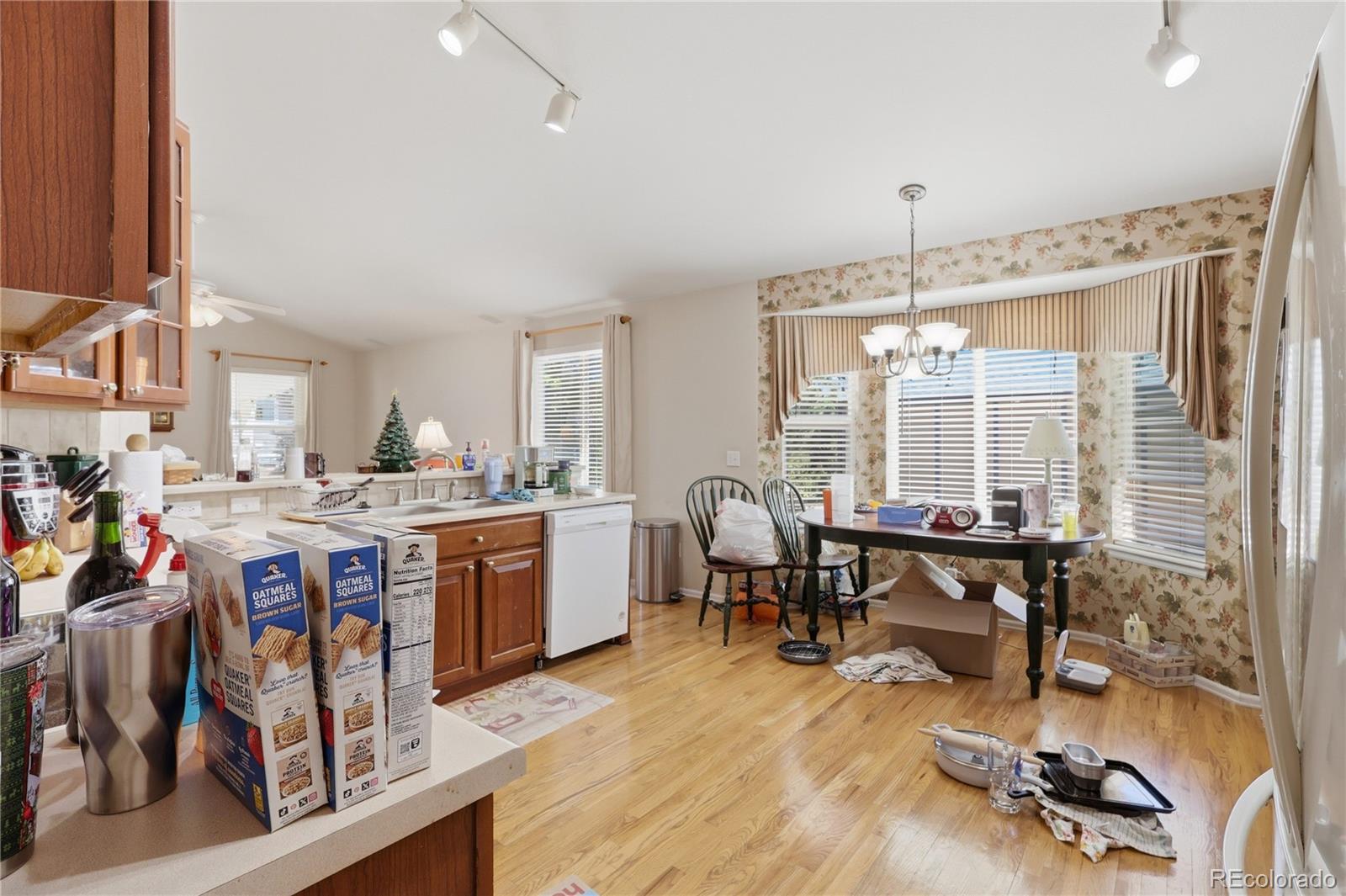 MLS Image #15 for 1587  rosemary court,castle rock, Colorado
