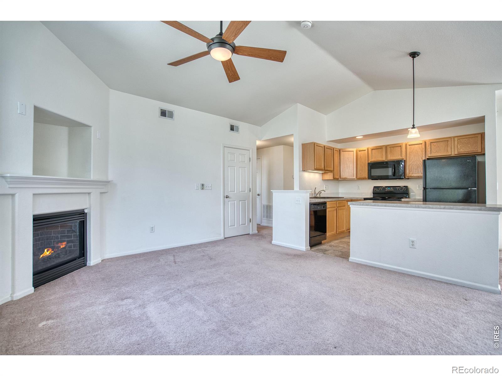 MLS Image #12 for 2011  grays peak drive,loveland, Colorado