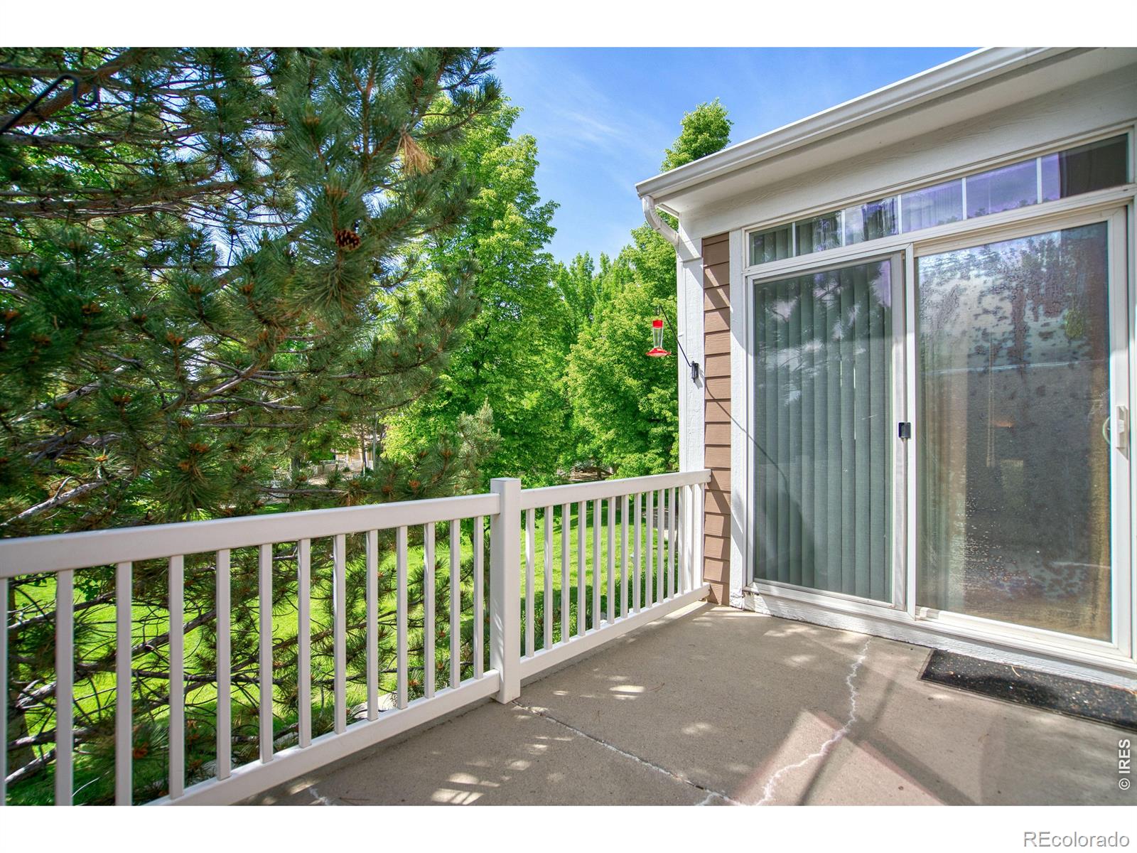 MLS Image #16 for 2011  grays peak drive,loveland, Colorado