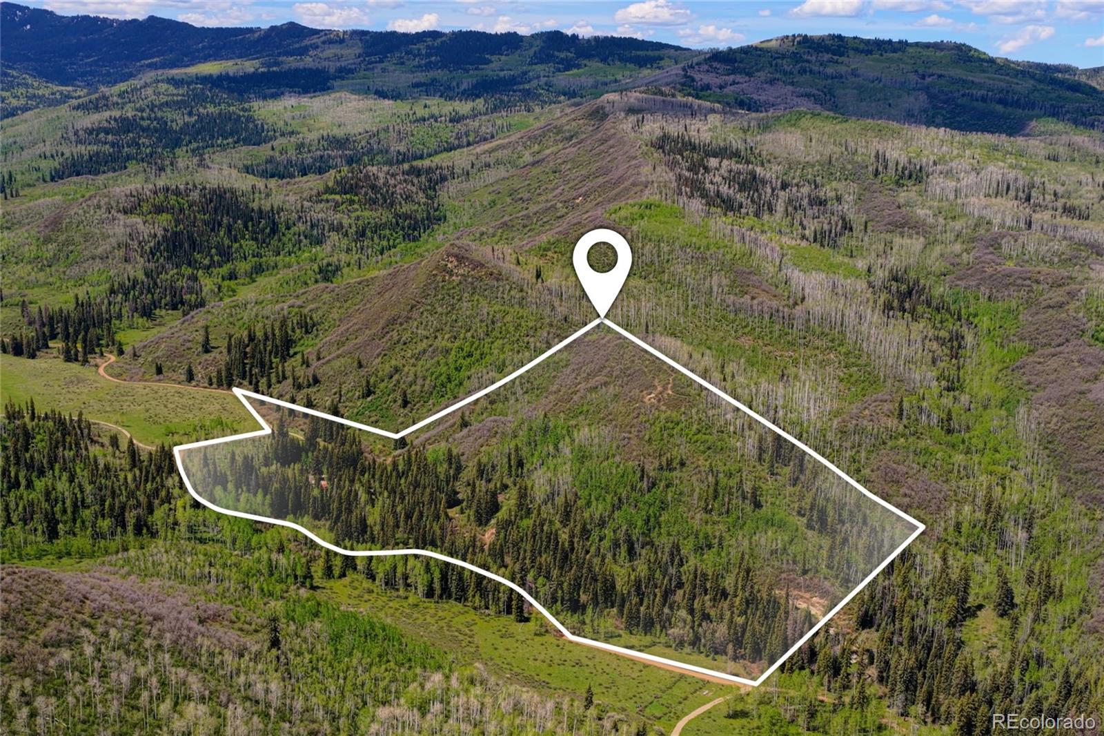 MLS Image #4 for 12123  county rd 313 ,new castle, Colorado