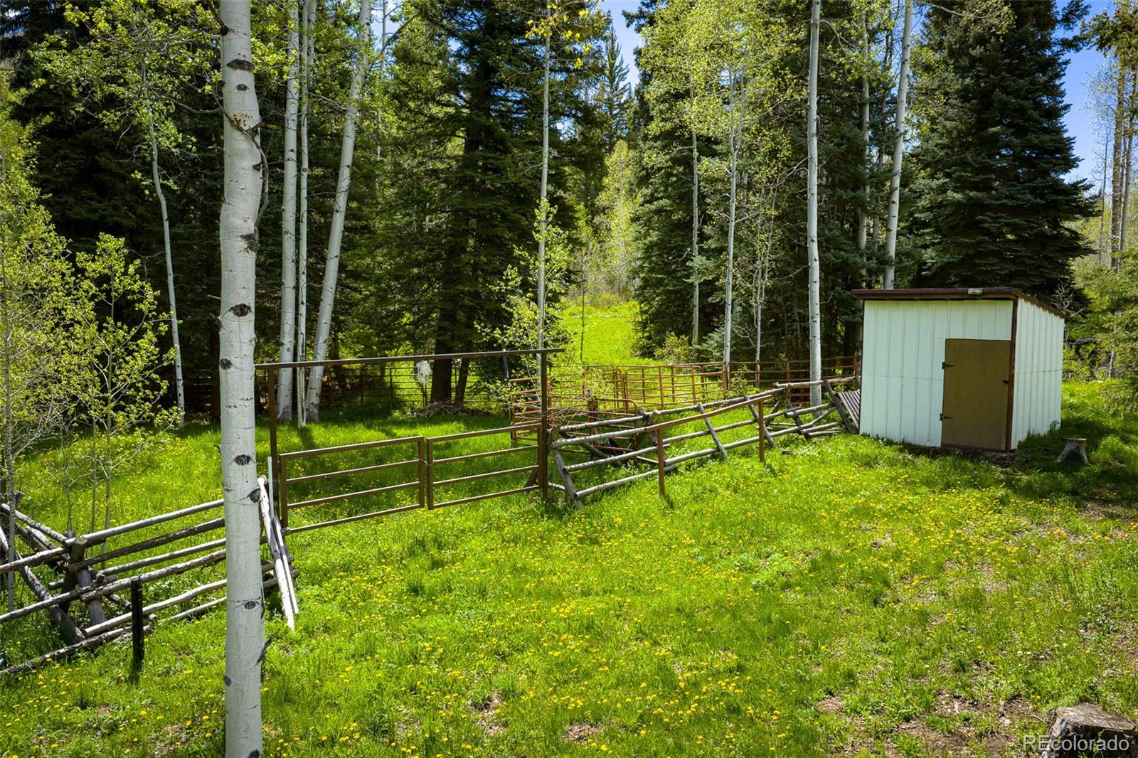 MLS Image #6 for 12123  county rd 313 ,new castle, Colorado