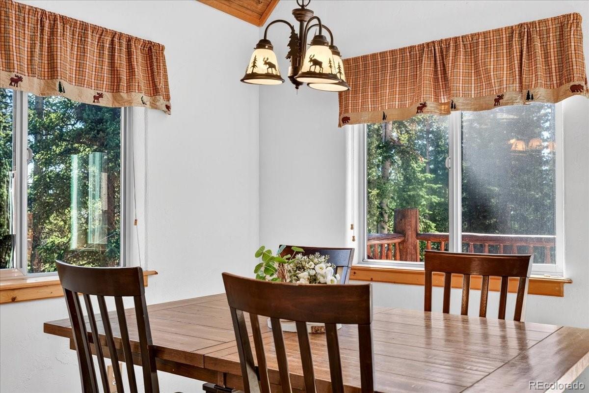 MLS Image #10 for 255  bum drive,fairplay, Colorado