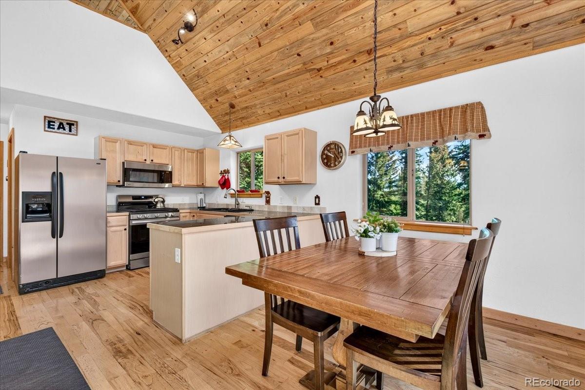 MLS Image #11 for 255  bum drive,fairplay, Colorado