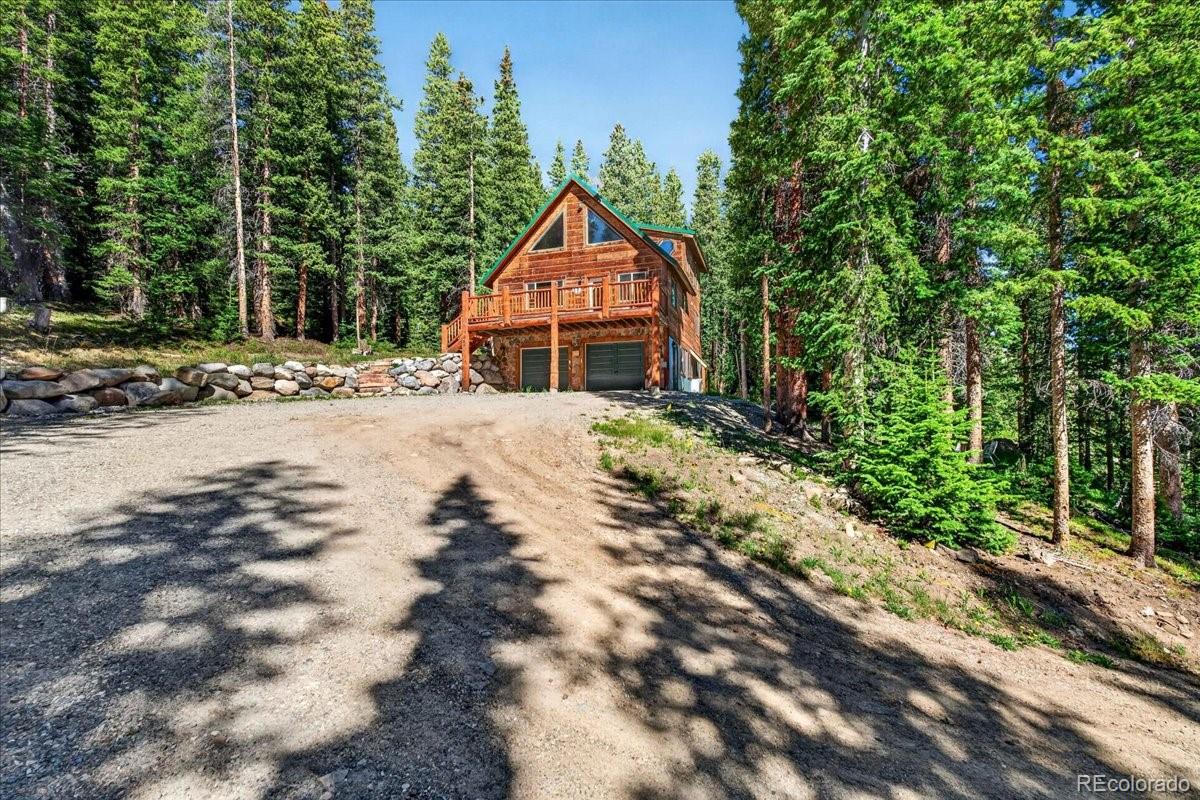 MLS Image #12 for 255  bum drive,fairplay, Colorado