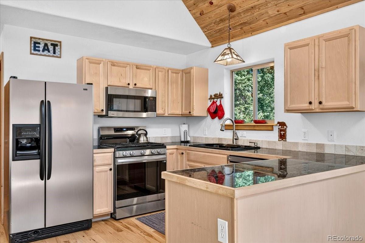 MLS Image #13 for 255  bum drive,fairplay, Colorado