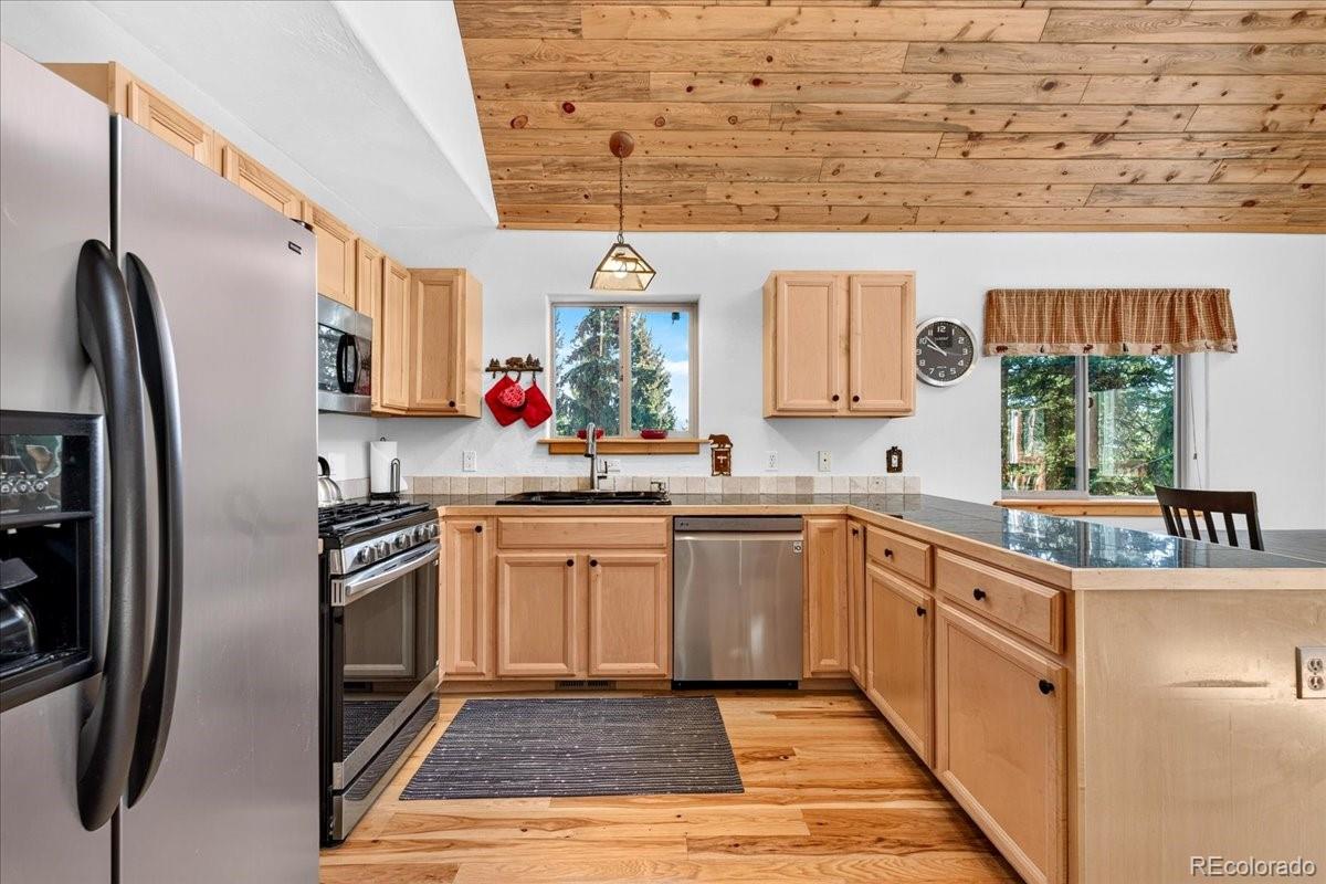 MLS Image #14 for 255  bum drive,fairplay, Colorado