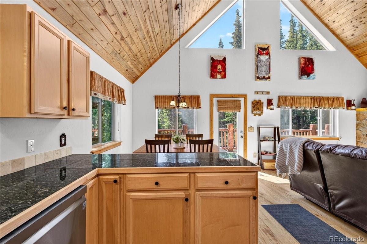 MLS Image #15 for 255  bum drive,fairplay, Colorado
