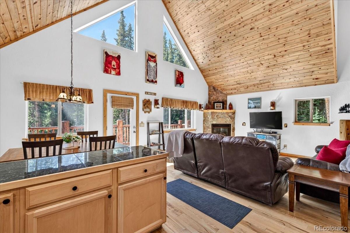 MLS Image #16 for 255  bum drive,fairplay, Colorado