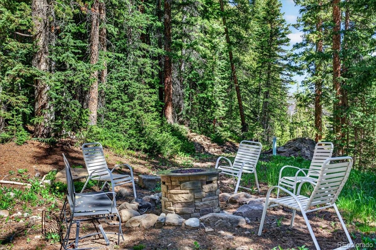 MLS Image #18 for 255  bum drive,fairplay, Colorado