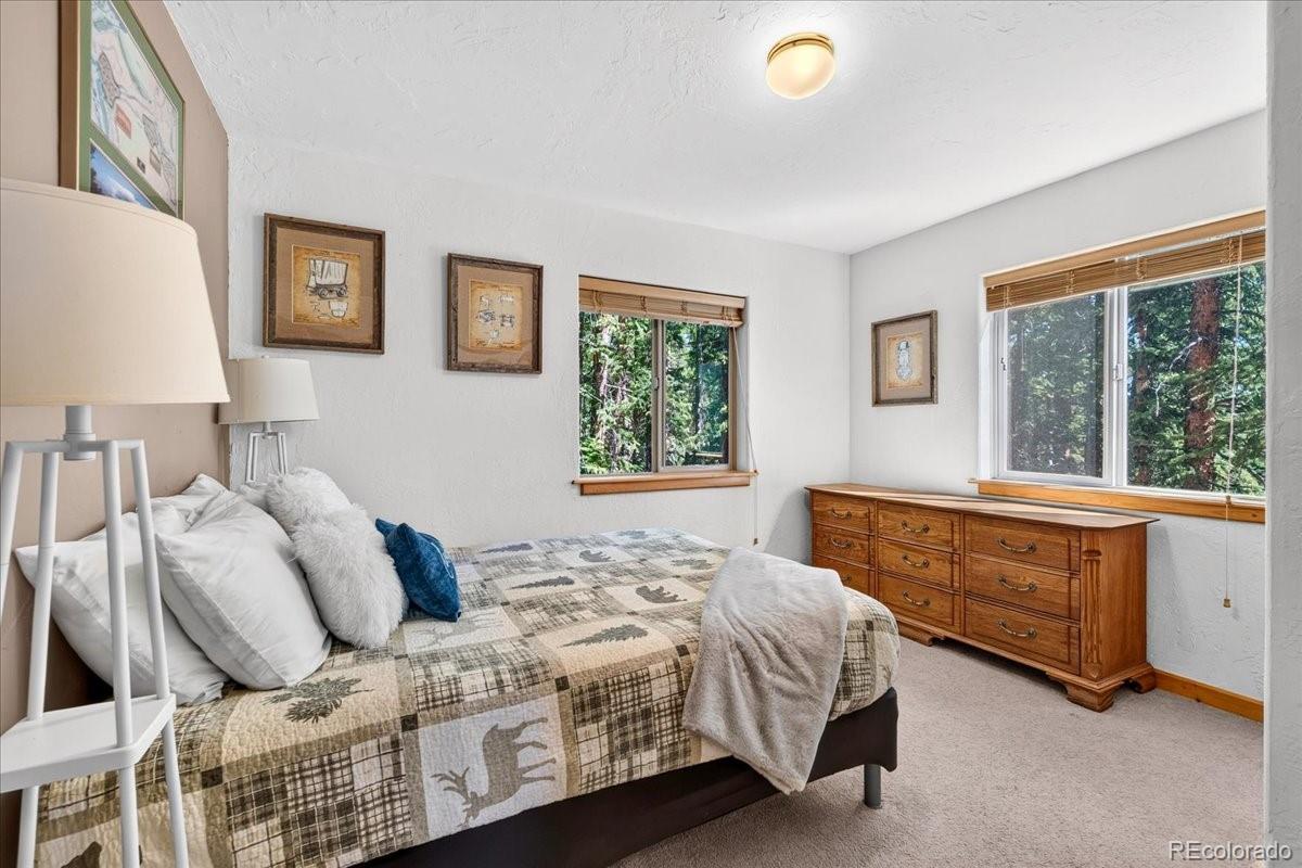 MLS Image #19 for 255  bum drive,fairplay, Colorado