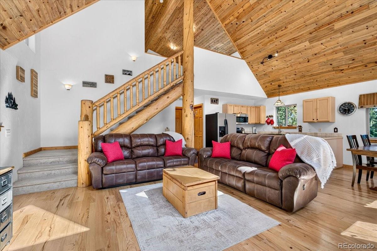 MLS Image #2 for 255  bum drive,fairplay, Colorado