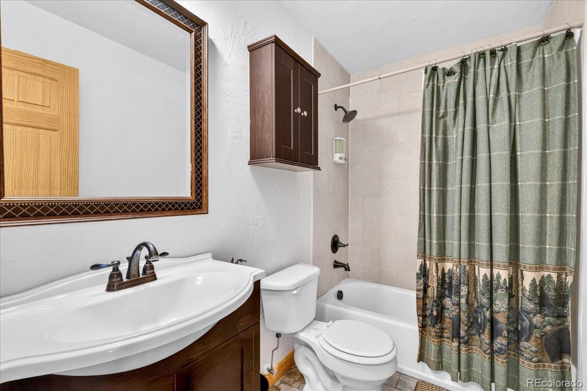 MLS Image #20 for 255  bum drive,fairplay, Colorado