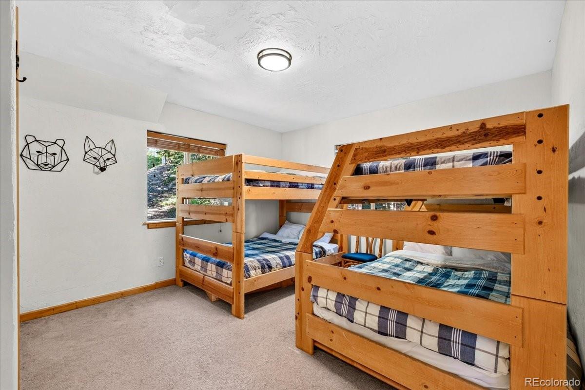 MLS Image #21 for 255  bum drive,fairplay, Colorado