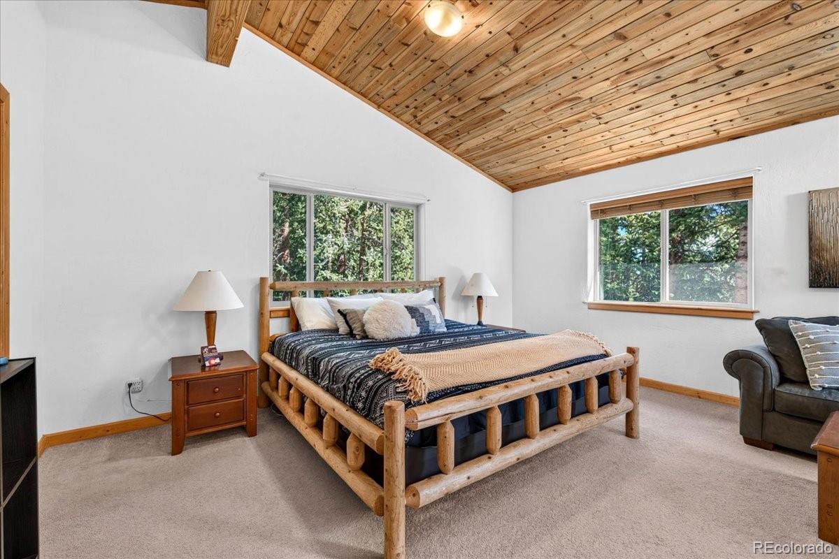 MLS Image #22 for 255  bum drive,fairplay, Colorado