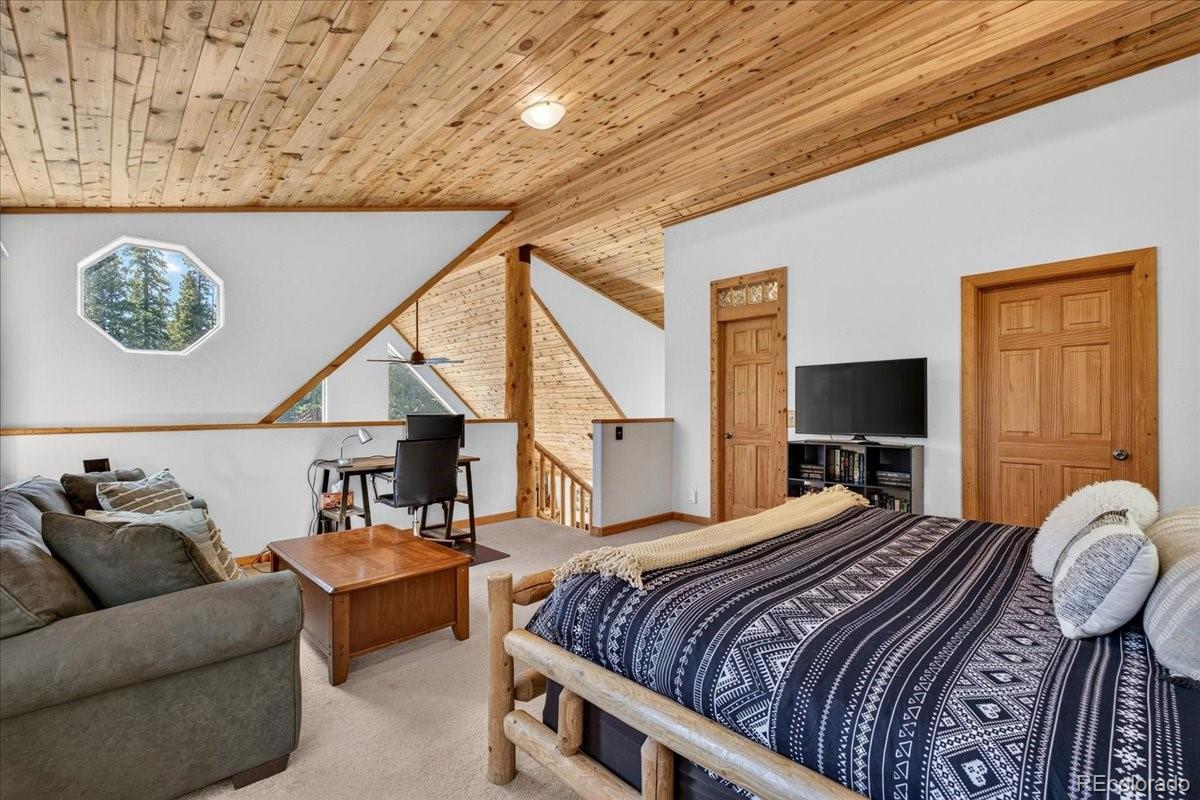 MLS Image #23 for 255  bum drive,fairplay, Colorado