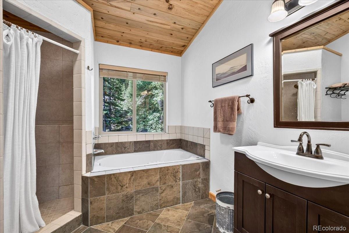 MLS Image #24 for 255  bum drive,fairplay, Colorado
