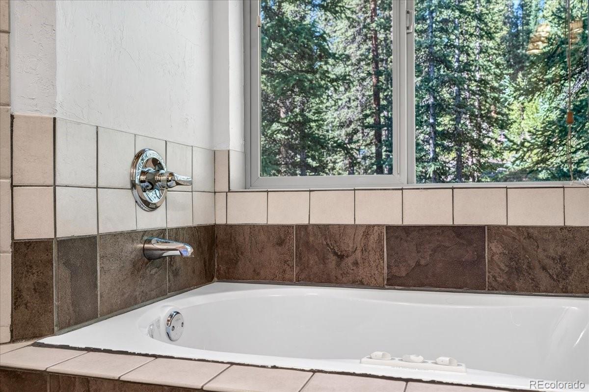 MLS Image #26 for 255  bum drive,fairplay, Colorado