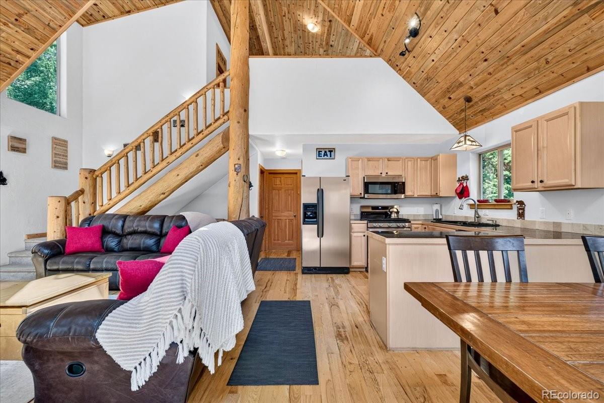 MLS Image #3 for 255  bum drive,fairplay, Colorado