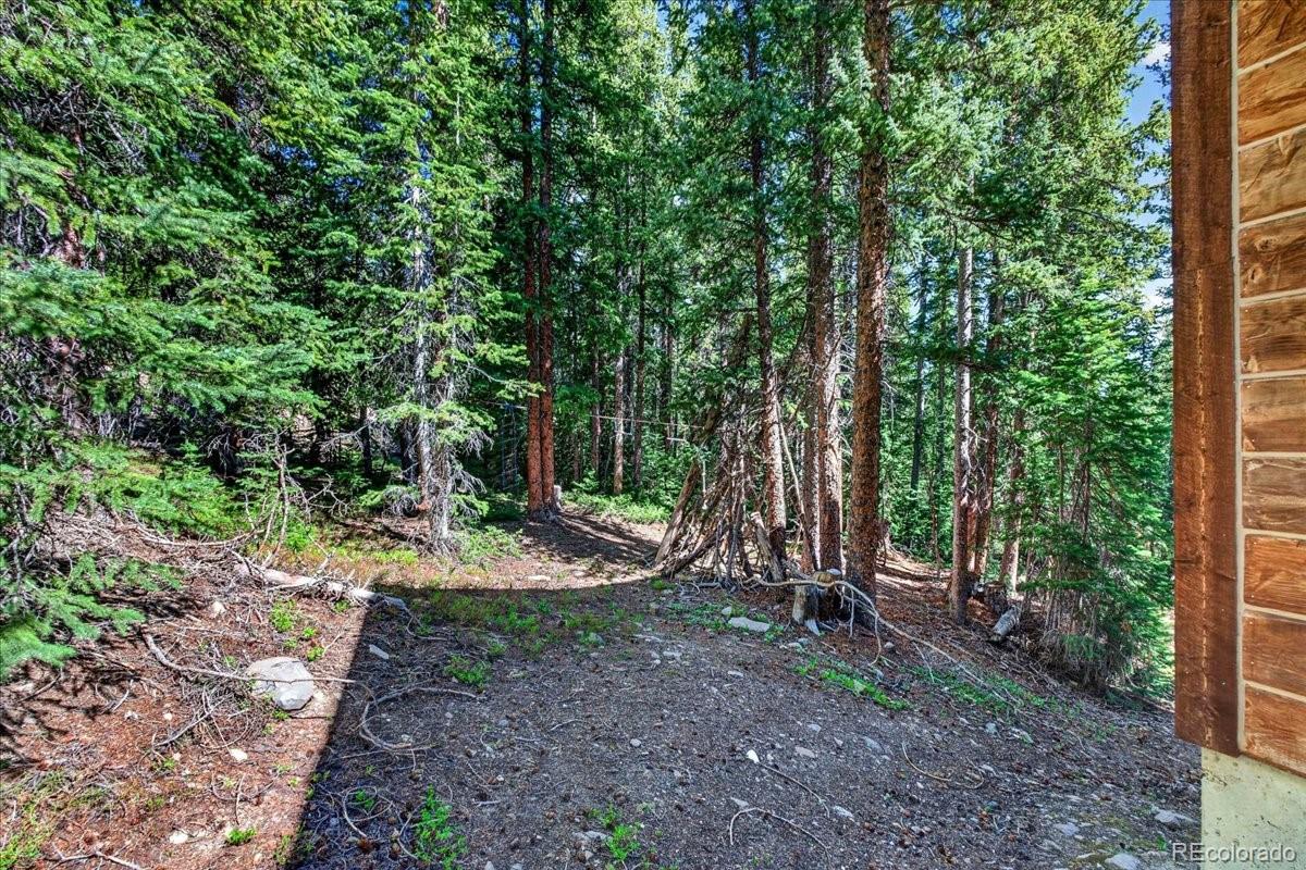 MLS Image #34 for 255  bum drive,fairplay, Colorado