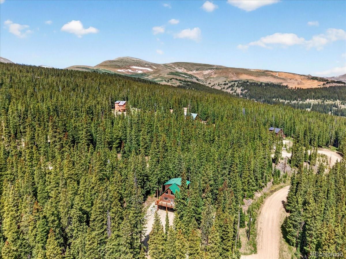 MLS Image #35 for 255  bum drive,fairplay, Colorado