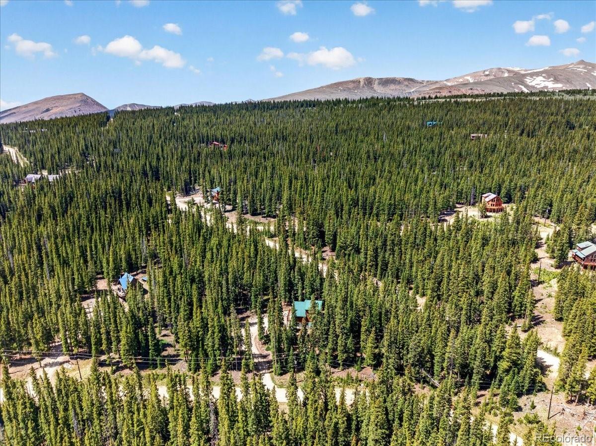 MLS Image #37 for 255  bum drive,fairplay, Colorado