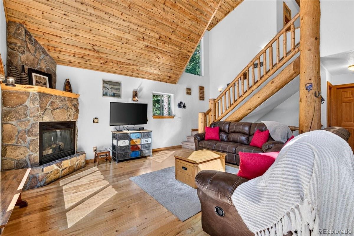 MLS Image #4 for 255  bum drive,fairplay, Colorado