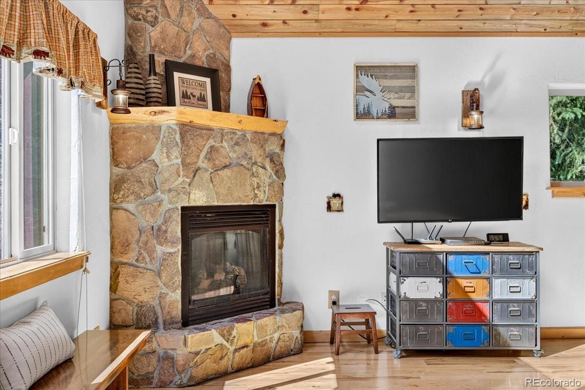 MLS Image #5 for 255  bum drive,fairplay, Colorado
