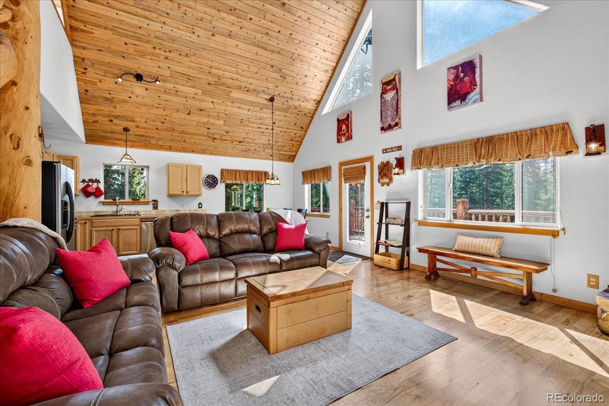 MLS Image #6 for 255  bum drive,fairplay, Colorado