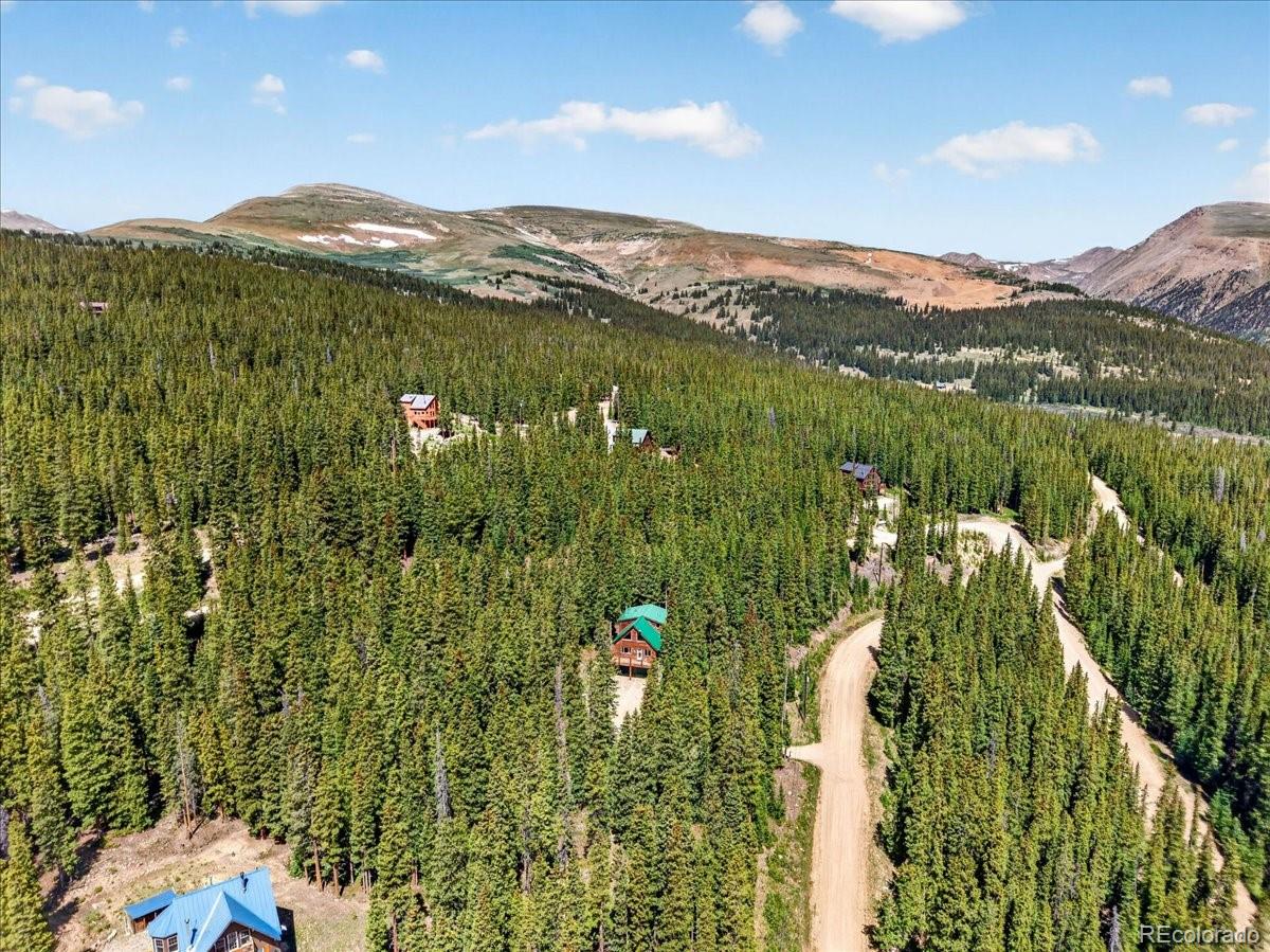 MLS Image #8 for 255  bum drive,fairplay, Colorado