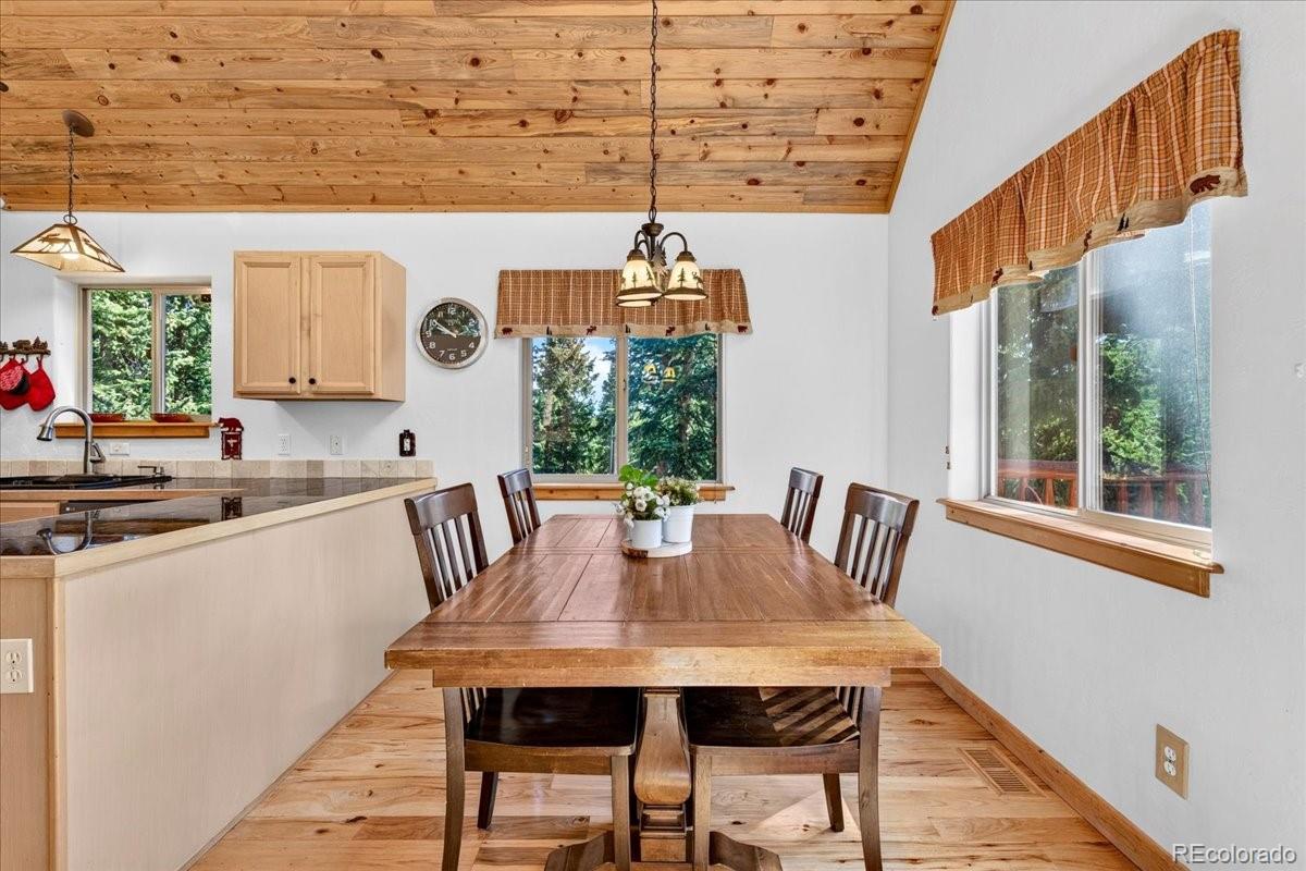 MLS Image #9 for 255  bum drive,fairplay, Colorado