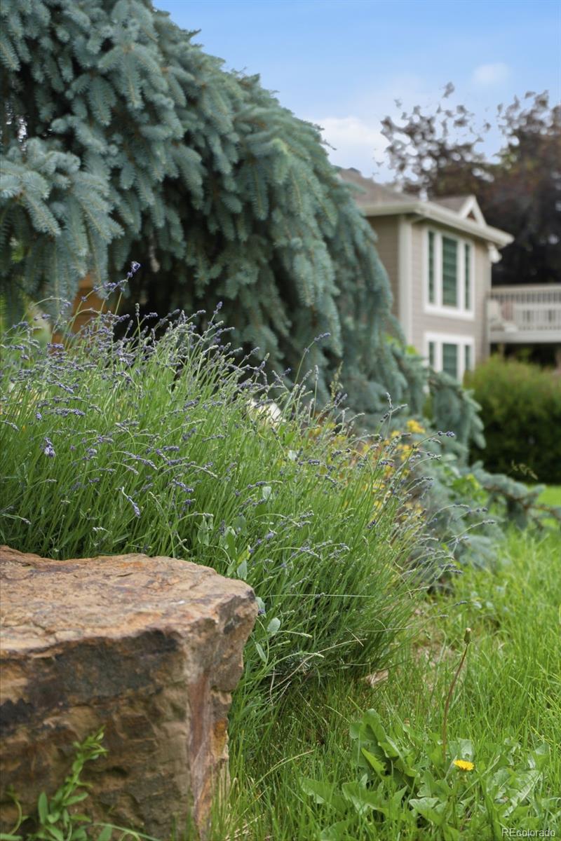 MLS Image #19 for 3273  rookery road,fort collins, Colorado