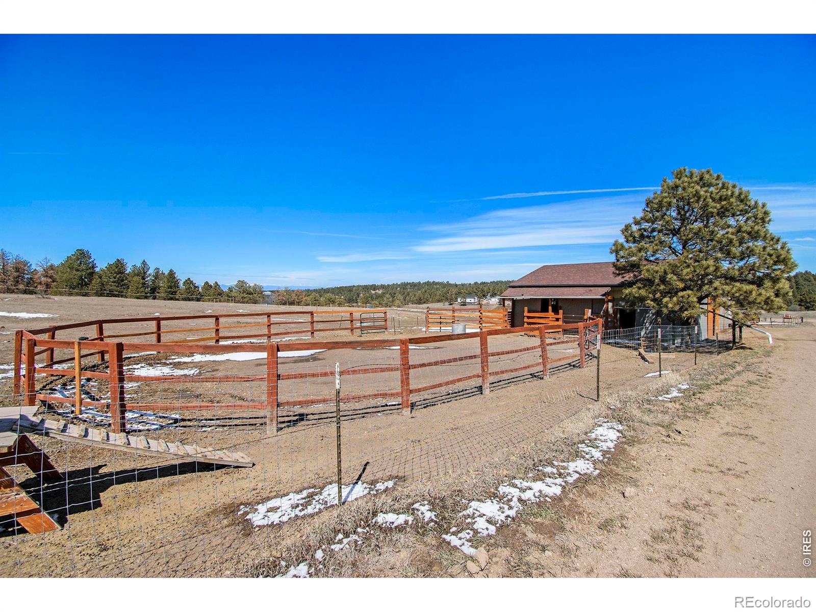 MLS Image #33 for 11784  crabapple drive,franktown, Colorado