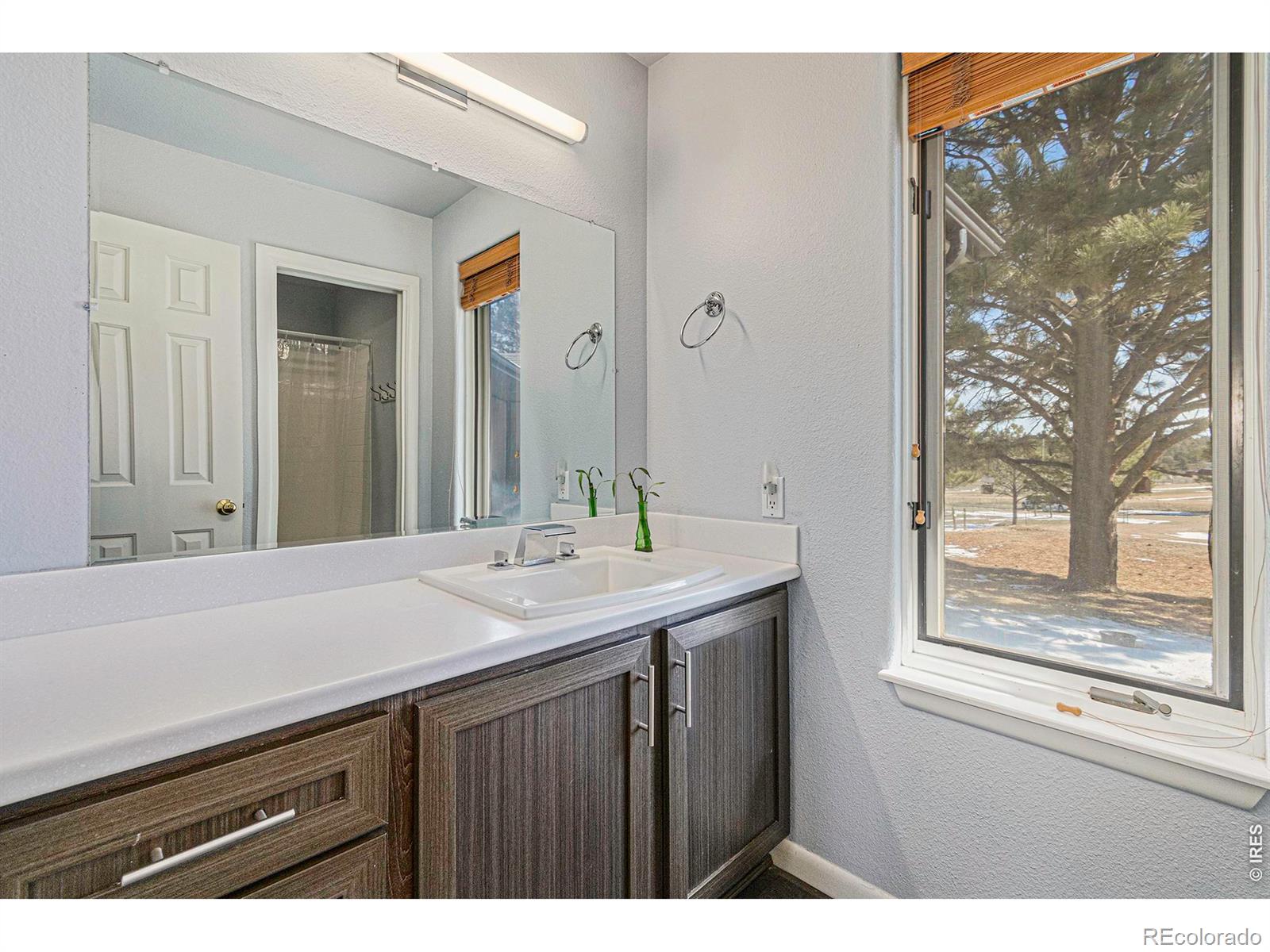 MLS Image #7 for 11784  crabapple drive,franktown, Colorado