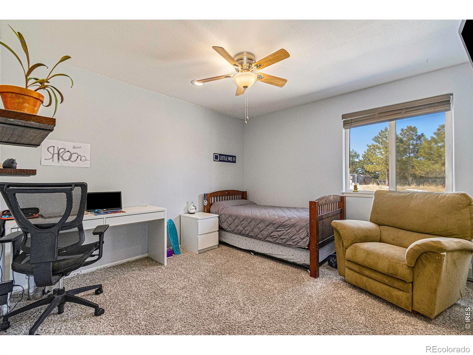 MLS Image #8 for 11784  crabapple drive,franktown, Colorado